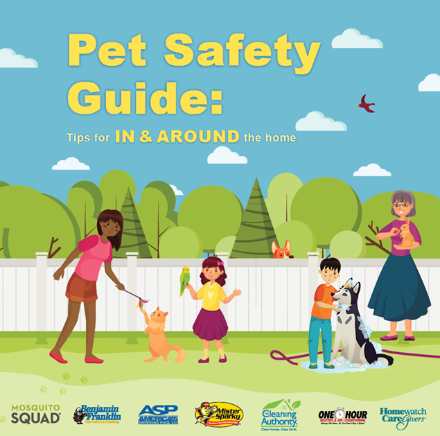 pet safety and arugula plant a guide for pet owners