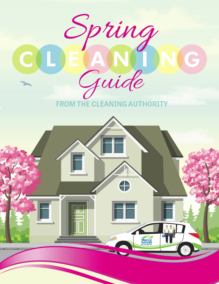 Spring Cleaning Guide