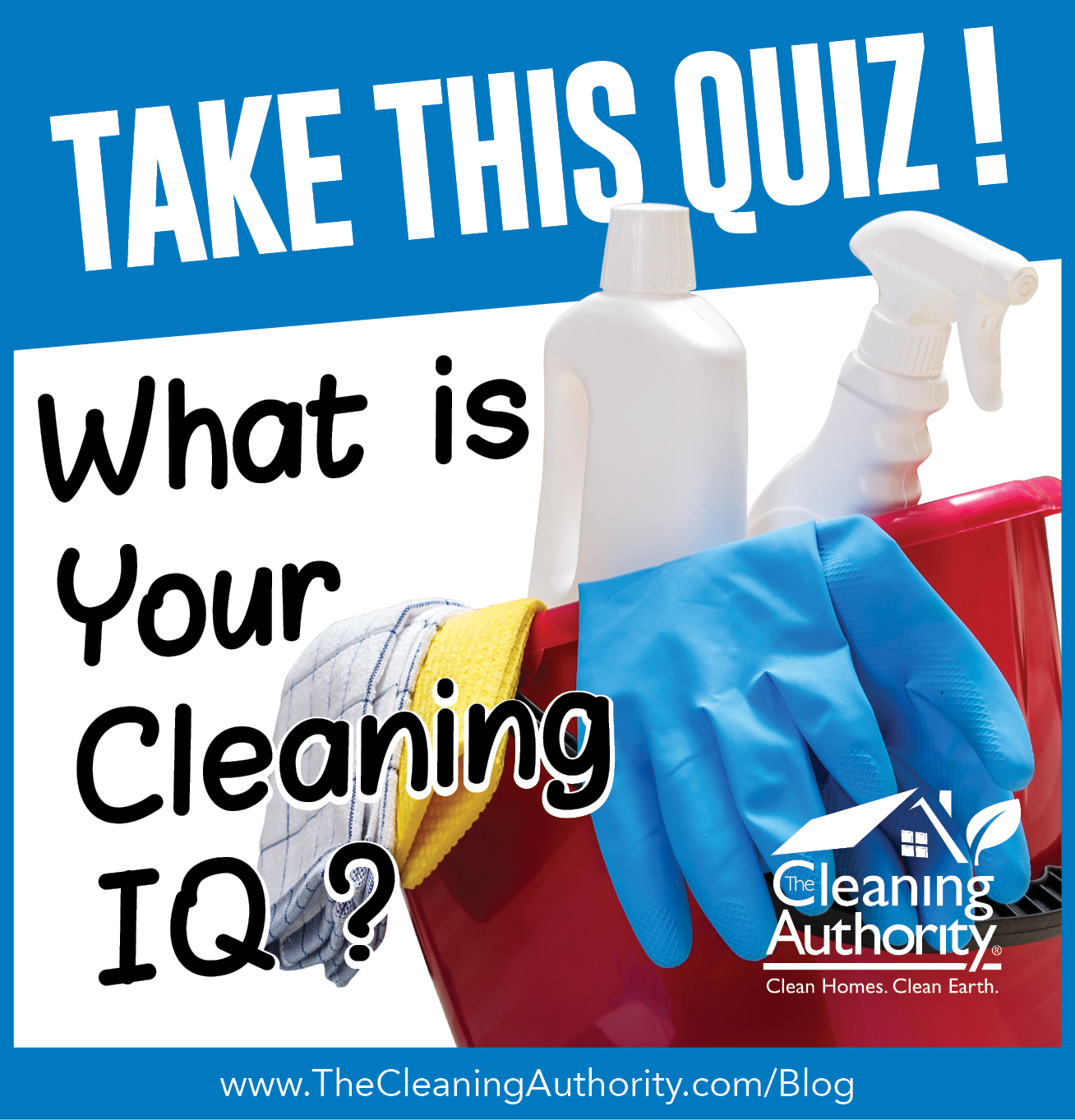 What Is Your Cleaning IQ 