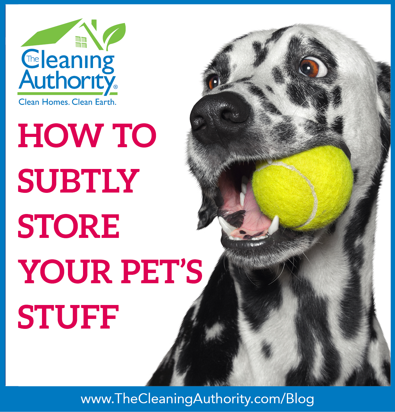 how-to-subtly-store-your-pet-s-stuff